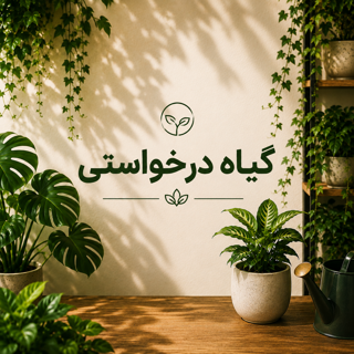 گیاه درخواستی