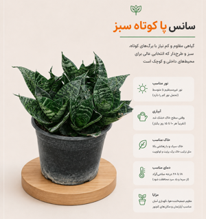 سانس پا کوتاه سبز