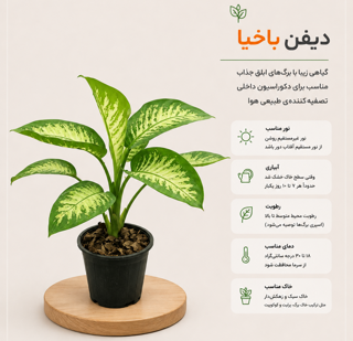 دیفن باخیا