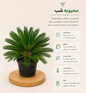 محوبه شب