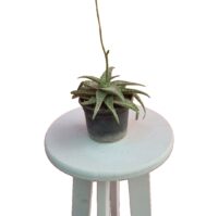 Screenshot_۲۰۲۳۰۸۱۳_۲۱۱۵۳۵_InShot کریپتانتوس