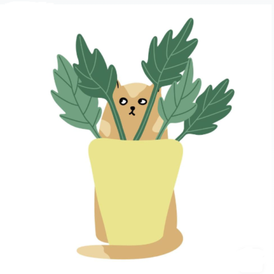 مخصوص حیوانات